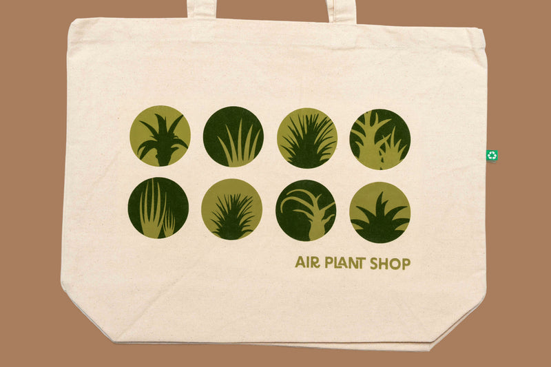 Air Plant Shop VIP Merchandise Combo