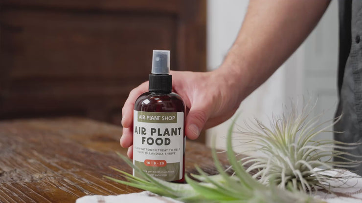 Ready-To-Use Tillandsia Air Plant Fertilizer – Air Plant Shop