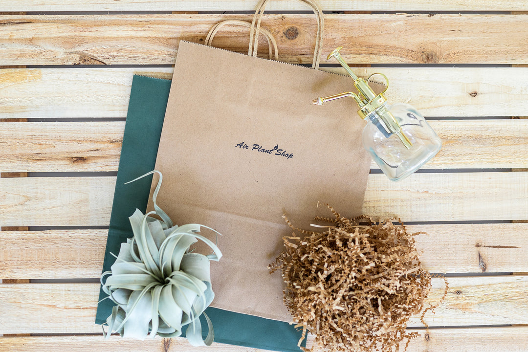 branded gift bag, glass mister, brown crinkle paper and tillandsia xerographica air plant