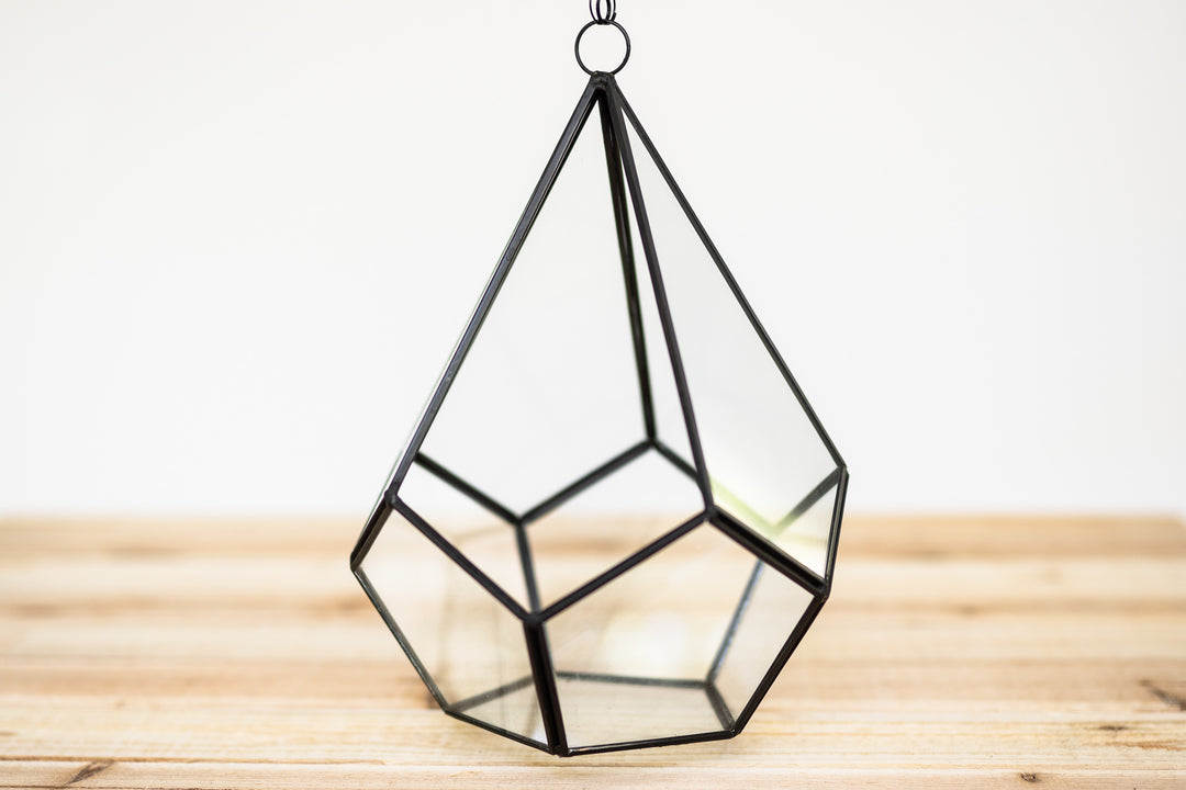 multifaceted glass diamond shaped terrarium