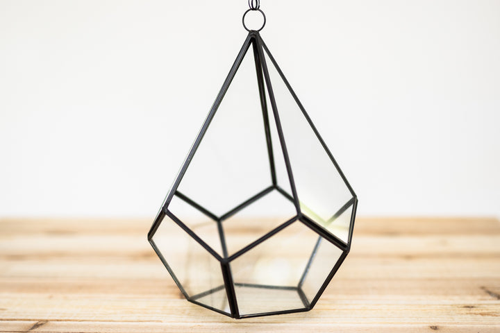multifaceted glass diamond shaped terrarium