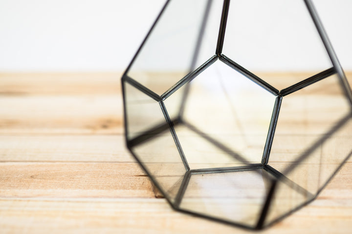 multifaceted glass diamond shaped terrarium
