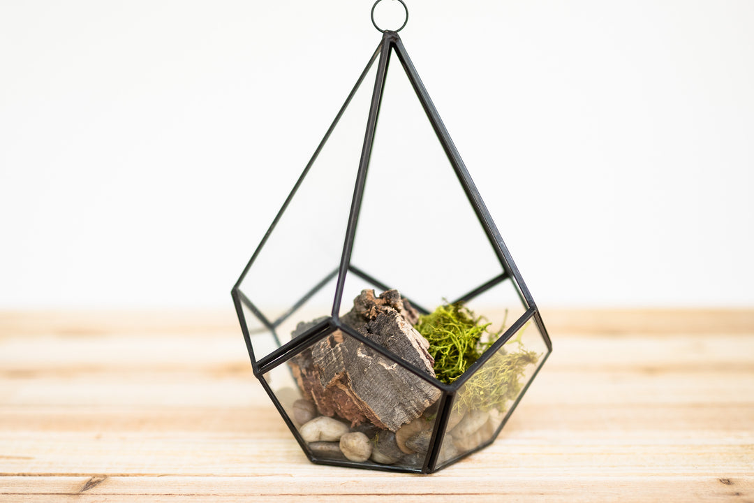 multifaceted glass diamond shaped terrarium, stones, bark and reindeer moss