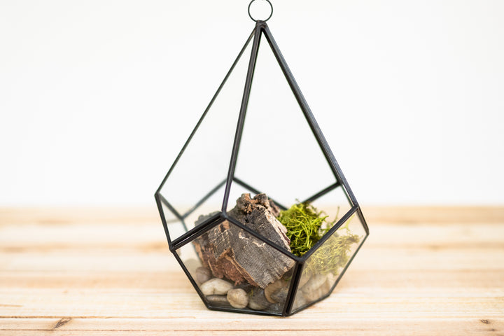 multifaceted glass diamond shaped terrarium, stones, bark and reindeer moss