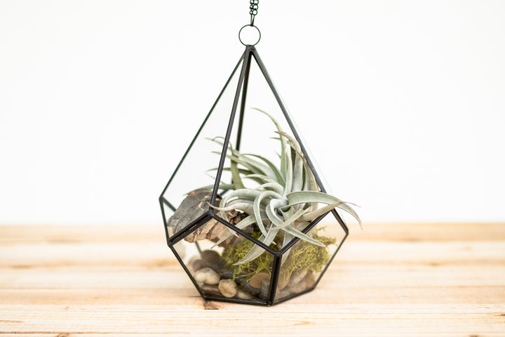 hanging air plant terrarium kit DIY Glass Diamond Terrarium
