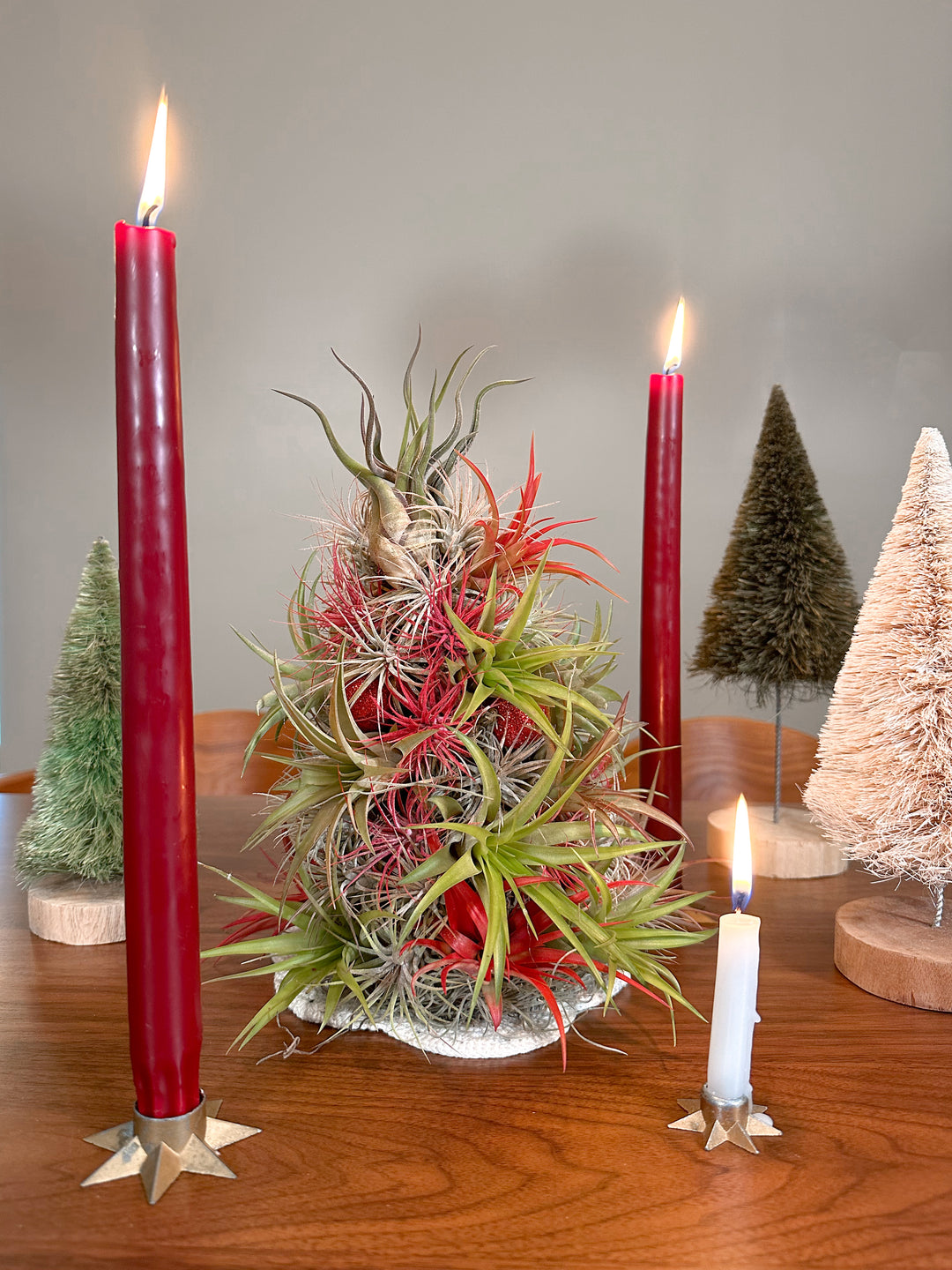 BULK DISCOUNT PRE-ORDER: 12 Inch Tall Handmade Air Plant Christmas Tree with 50 Living Tillandsias [Min Order 3]