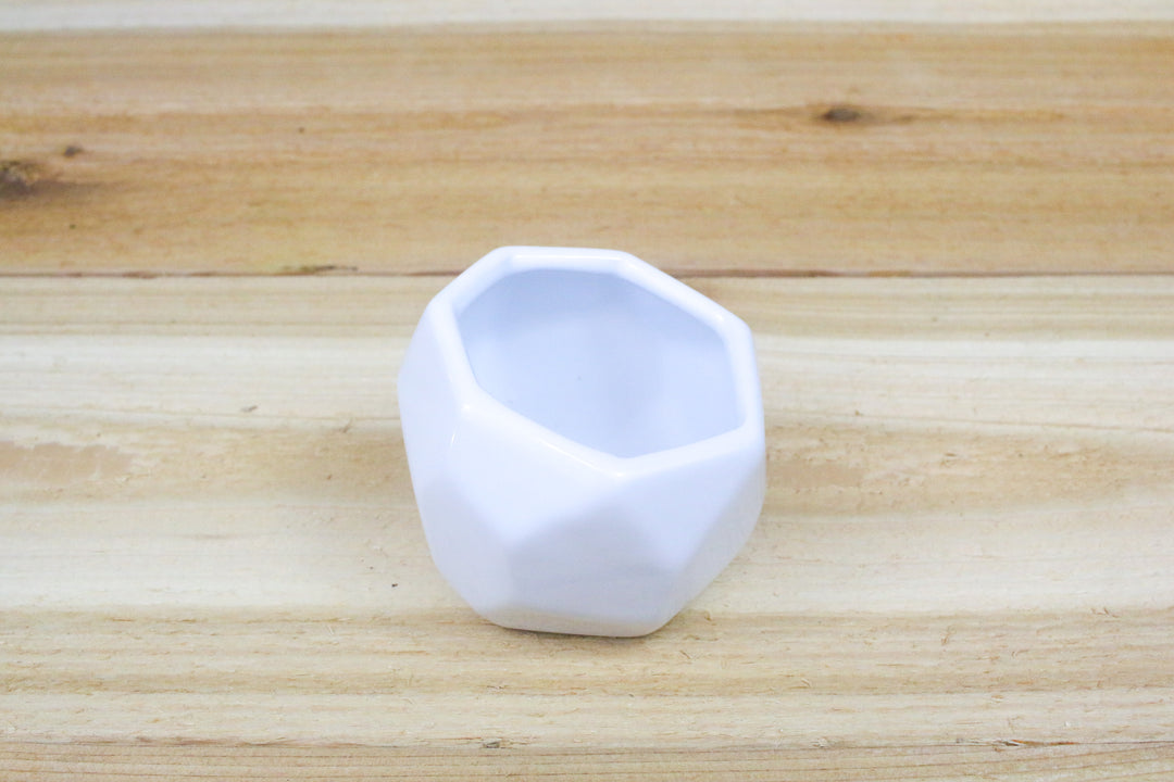 White Geometric Ceramic Container