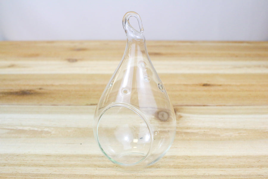 teardrop shaped glass terrarium with flat bottom and loop for hanging