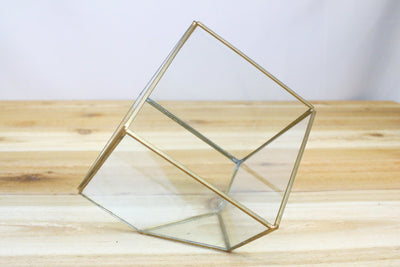 multifaceted glass heptahedron terrarium with gold accents
