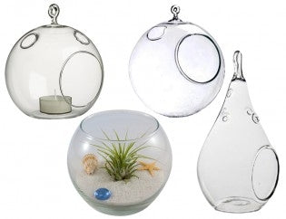 Flat Bottom, Round Bottom, Teardrop and Bubble Bowl Glass Terrariums