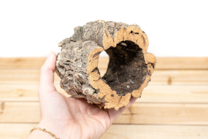 Natural Cork Bark Planter