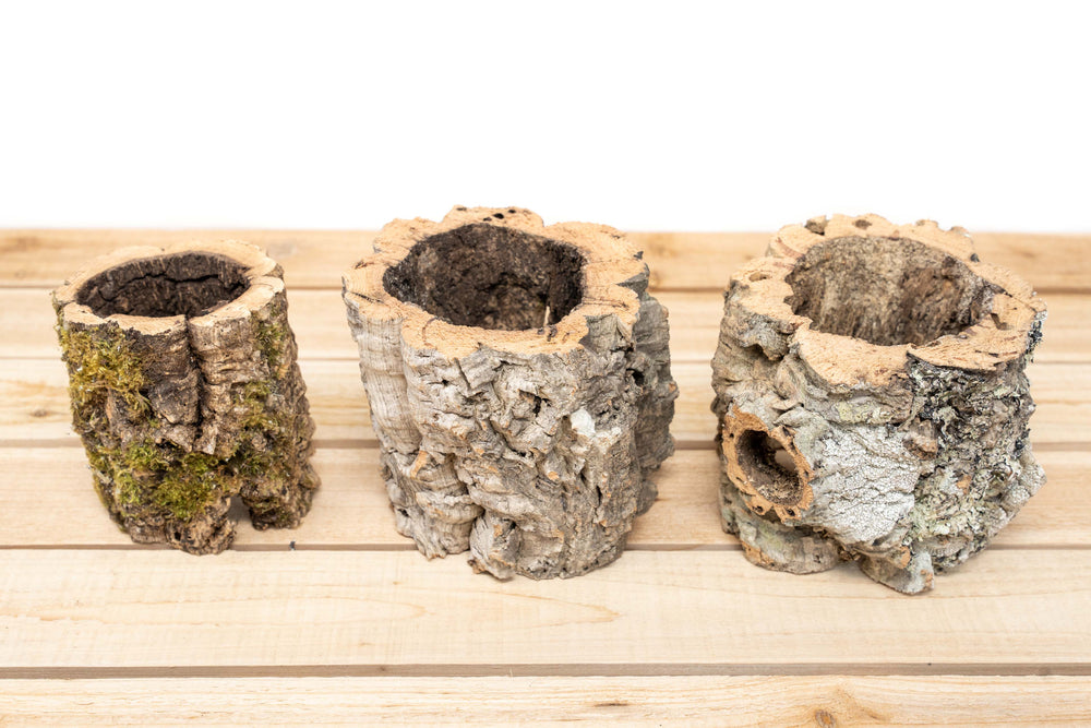 3 Natural Cork Bark Planters